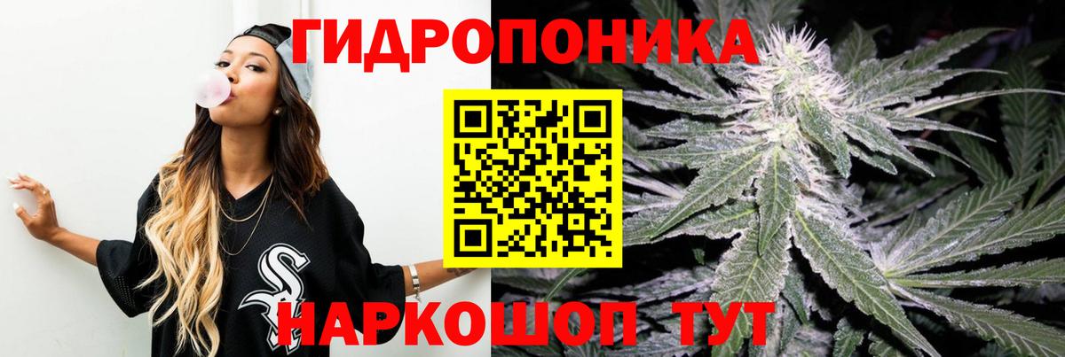 Бошки марихуана ГИДРОПОН Миллерово